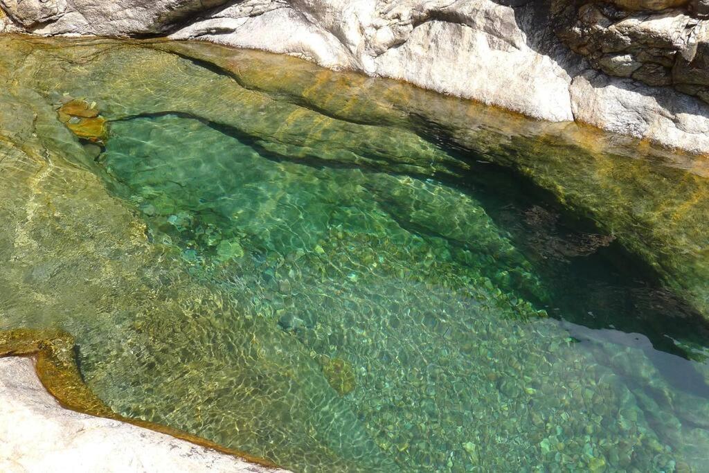 Le Capu Biancu-Location Avec Vue Proche Des Gorges De L Asco Entre Mer Et Montagne Moltifao Exterior foto